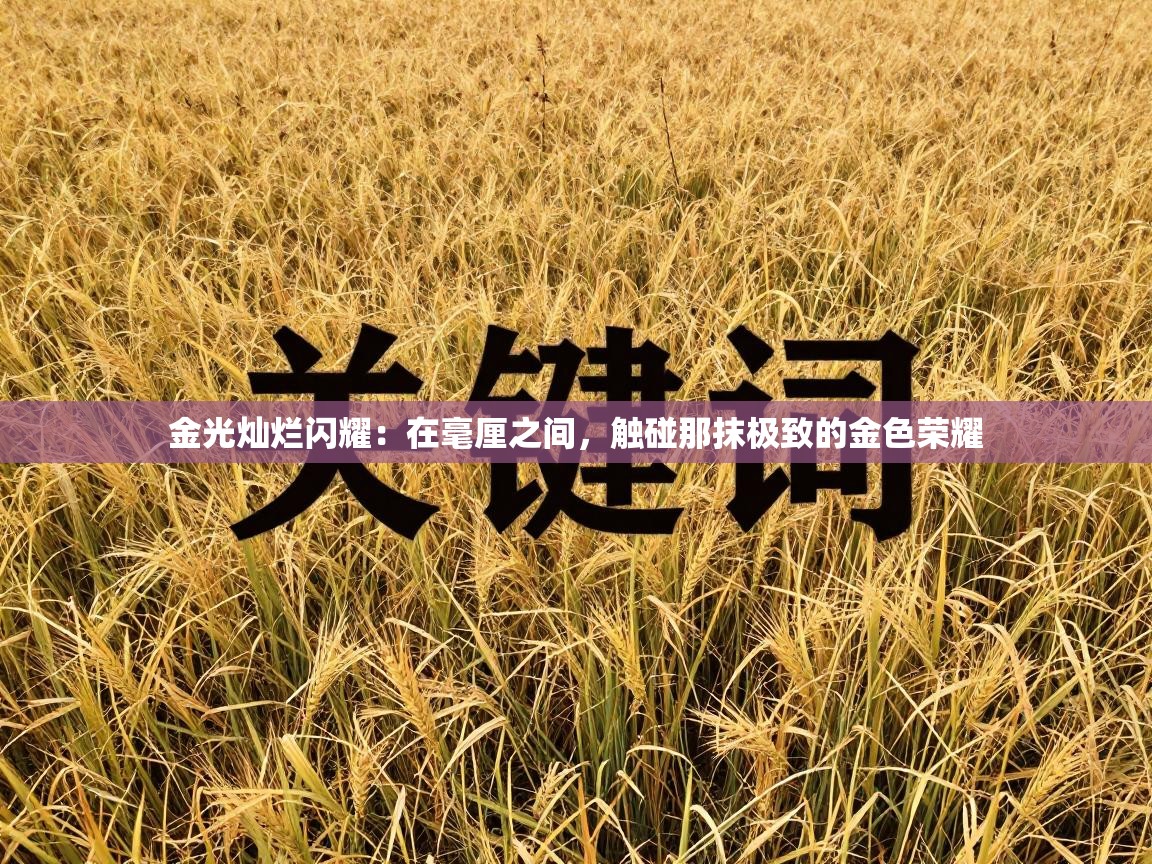 金光灿烂闪耀：在毫厘之间，触碰那抹极致的金色荣耀  第1张