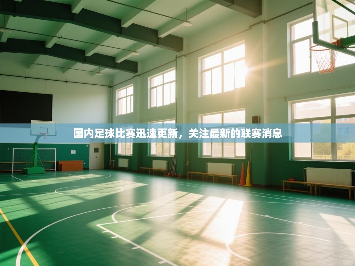 国内足球比赛迅速更新,关注最新的联赛消息 第2张