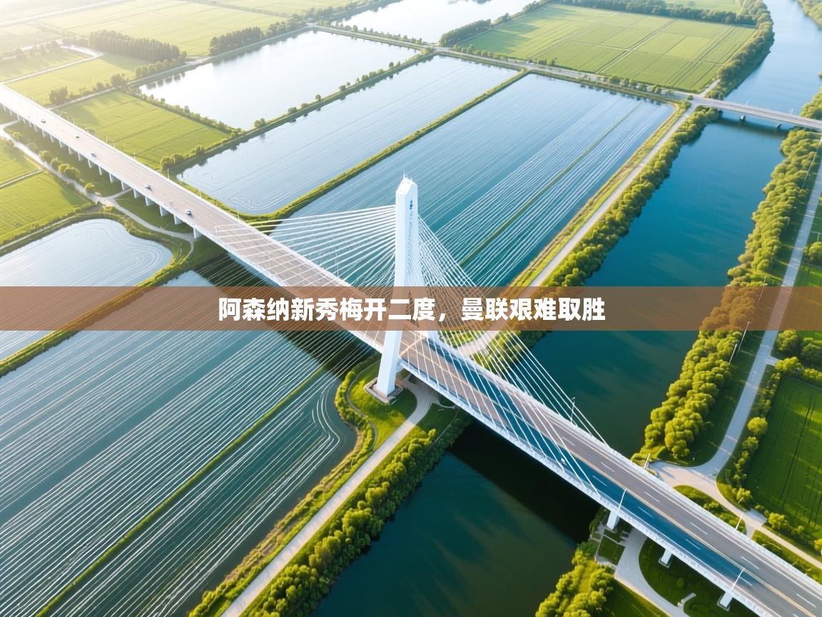 阿森纳新秀梅开二度，曼联艰难取胜  第2张