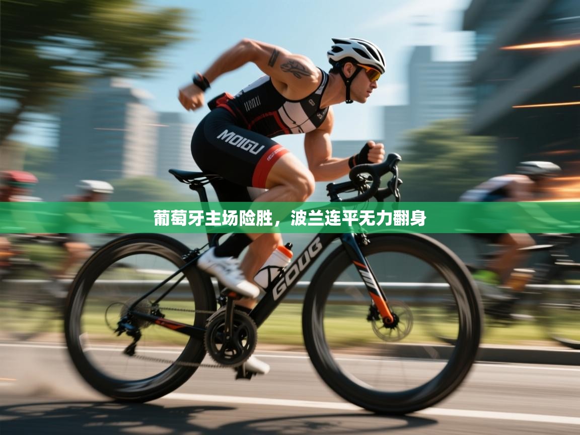 葡萄牙主场险胜，波兰连平无力翻身  第1张